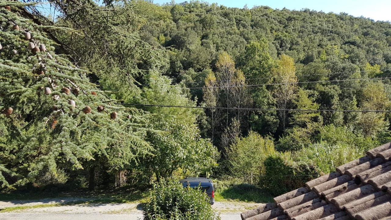 Le Clos Du Cedre Saint Sebastien d'Aigrefeuille Екстериор снимка