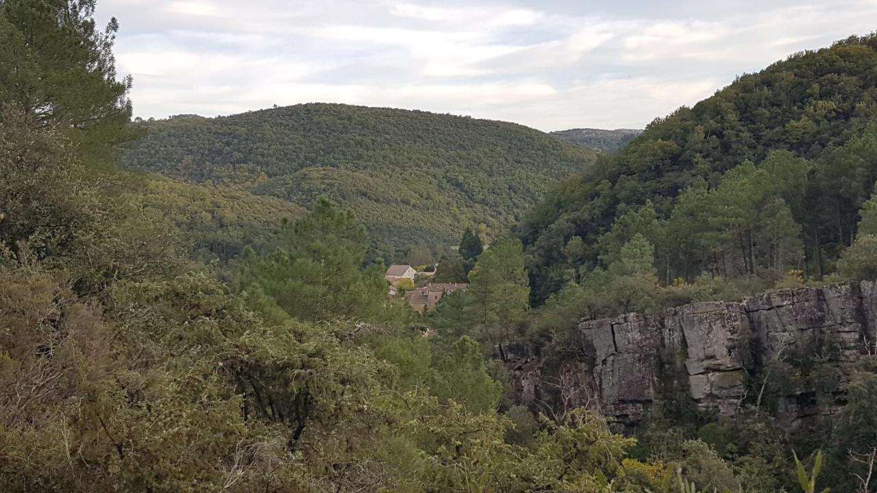 Le Clos Du Cedre Saint Sebastien d'Aigrefeuille Екстериор снимка
