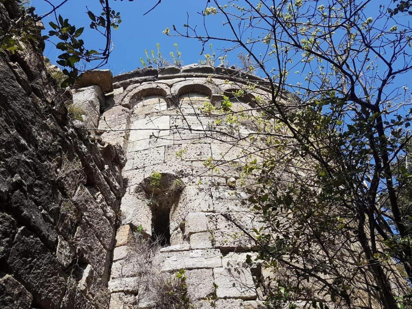 Le Clos Du Cedre Saint Sebastien d'Aigrefeuille Екстериор снимка