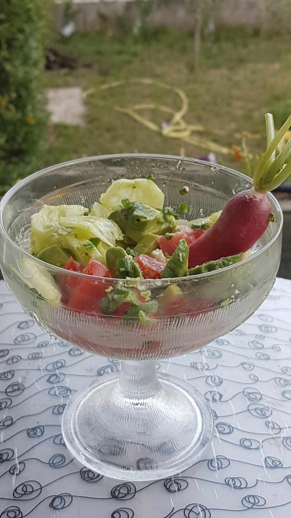 Le Clos Du Cedre Saint Sebastien d'Aigrefeuille Екстериор снимка